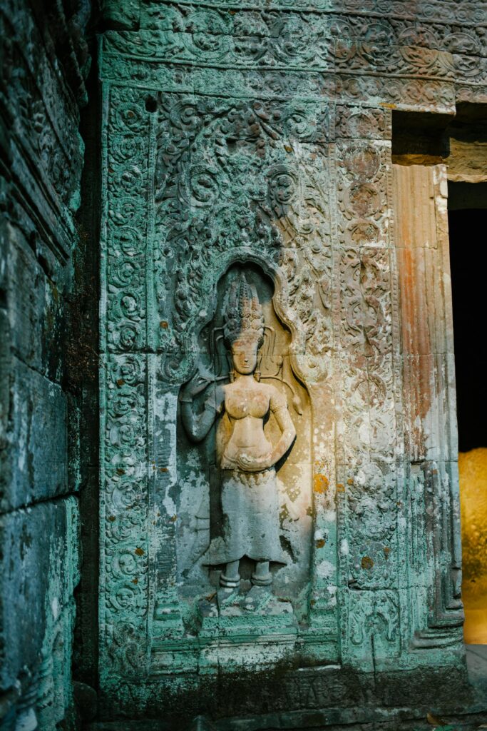 pexels julia volk 5769453